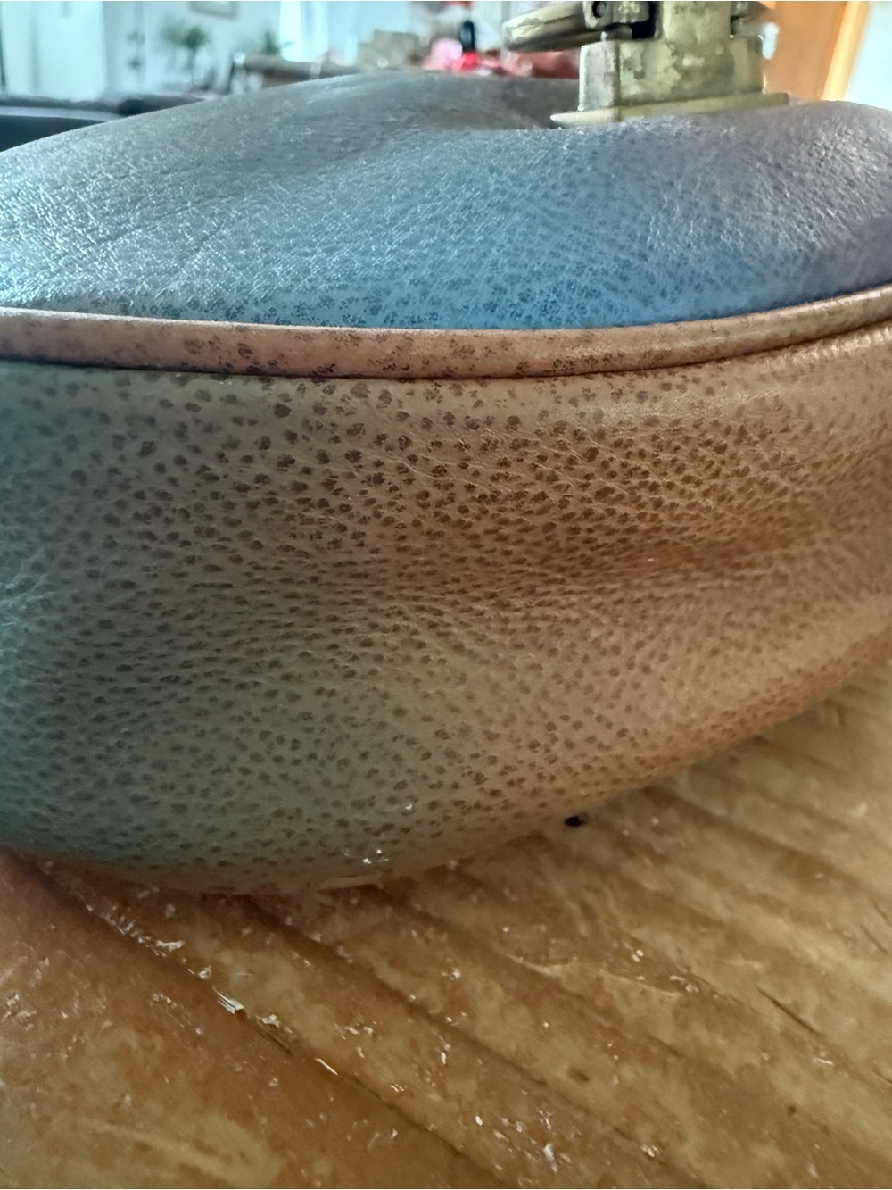 Anuschka Hand Painted Crossbody Leather Saddle Bag Crossbody - Picture 13 of 14